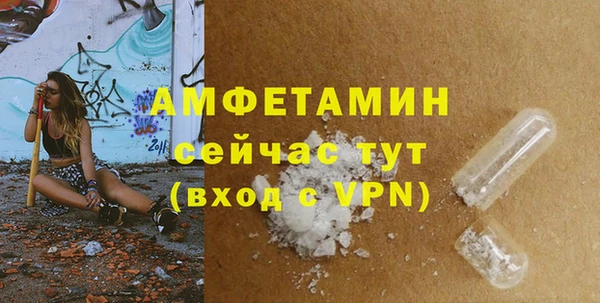 прущие грибы Балабаново