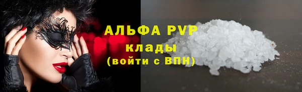 прущие грибы Балабаново