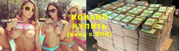 прущие грибы Балабаново