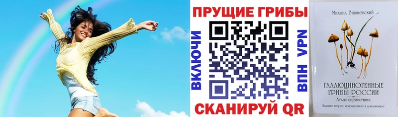 закладка  Балей  Галлюциногенные грибы ЛСД 