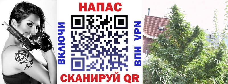купить наркоту  Балей  ОМГ ОМГ ТОР  Бошки Шишки тримм 